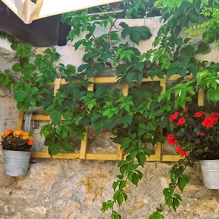 Old Town & Ela Place ゲストハウス スプリト