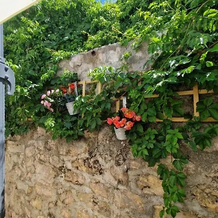 ゲストハウス Old Town & Ela Place スプリト