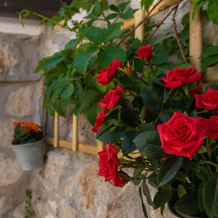 Old Town & Ela Place Guest house