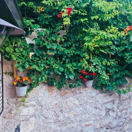 Гостьовий будинок Old Town & Ela Place Спліт