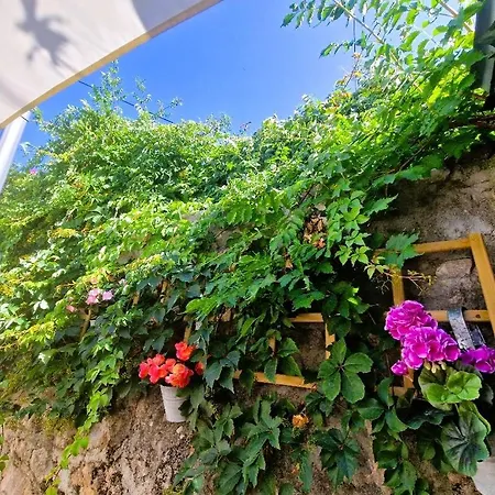 Old Town & Ela Place Guest house