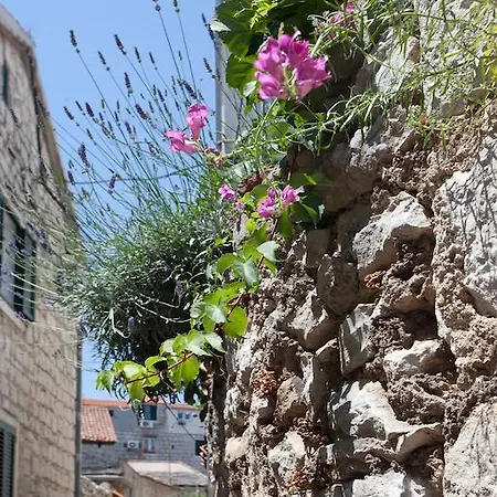 Penzion Old Town & Ela Place 3*
