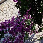 Old Town & Ela Place Split