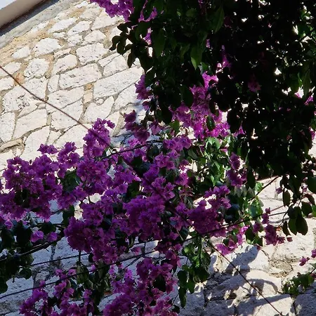 Old Town & Ela Place سبليت